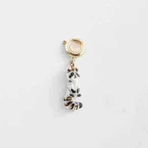 Charm's Raoul le raton laveur