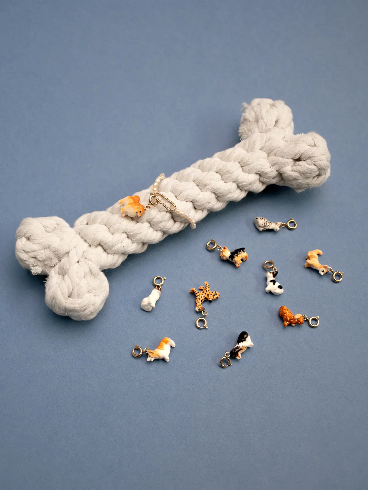 Charm's Chien Yorkshire – Image 4