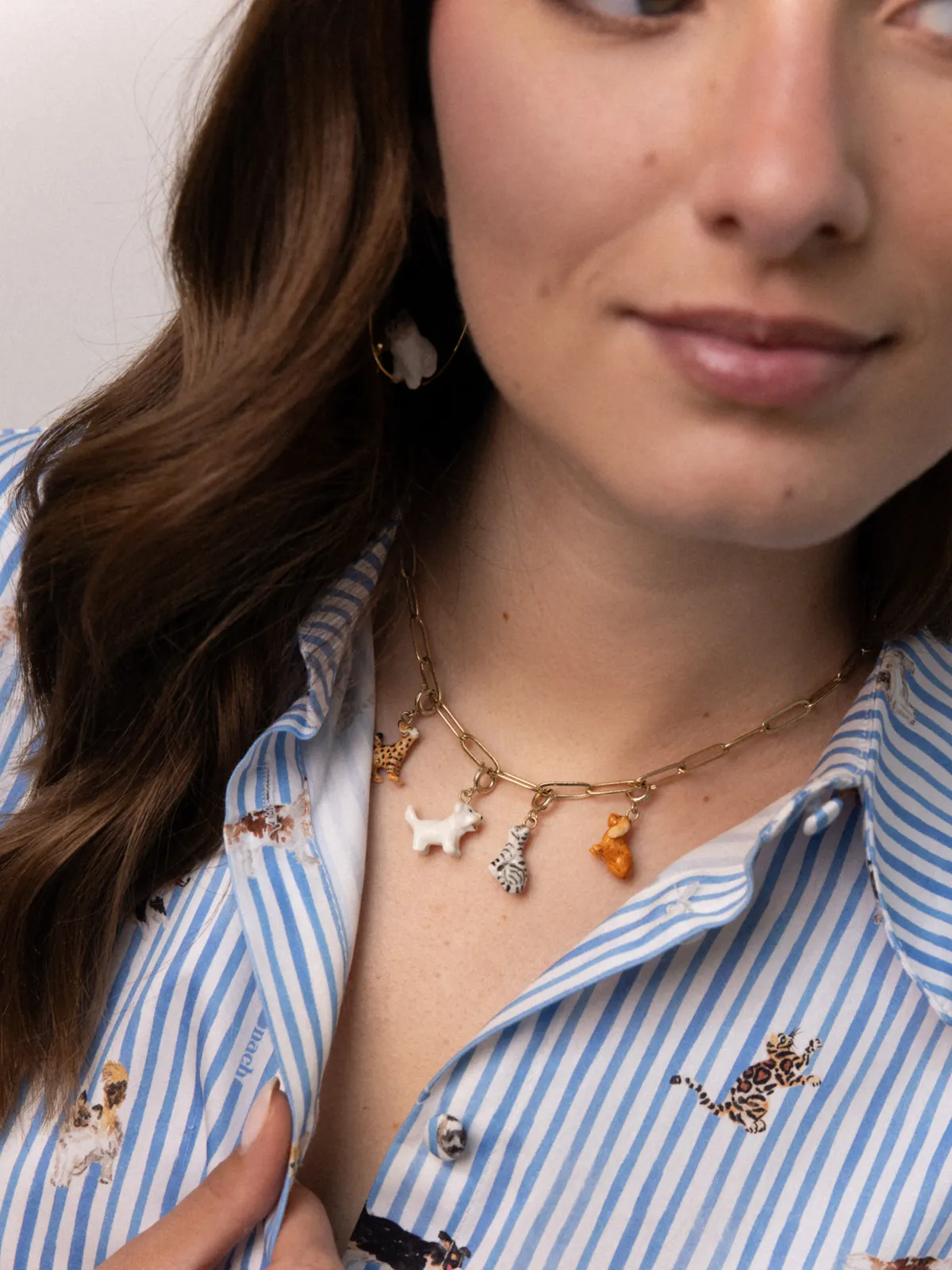 Charm's Chat tabby – Image 3