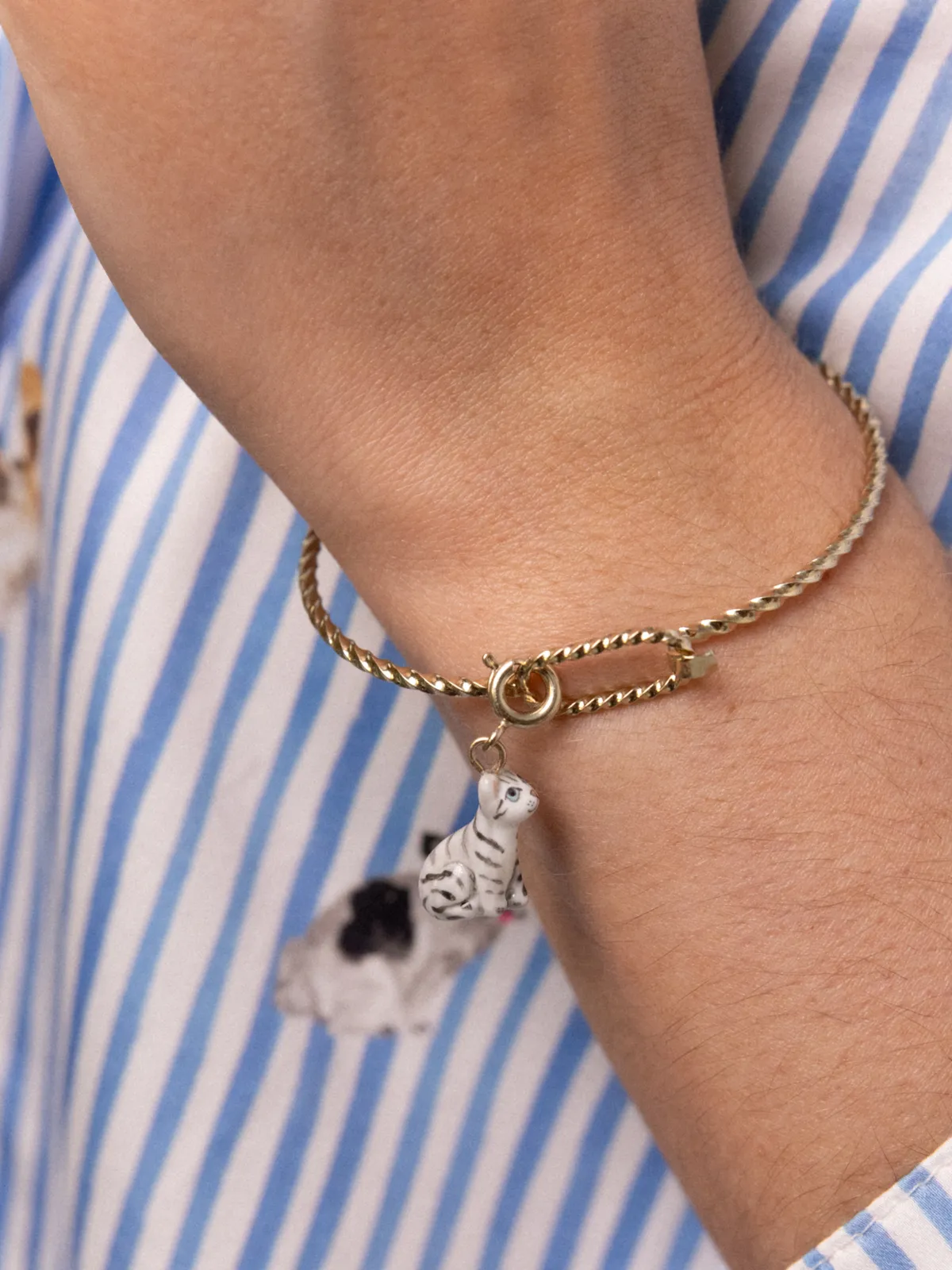 Charm's Chat tabby – Image 2