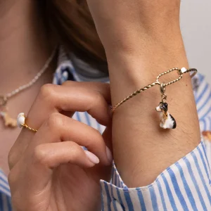 Charm's Chien Berger Australien