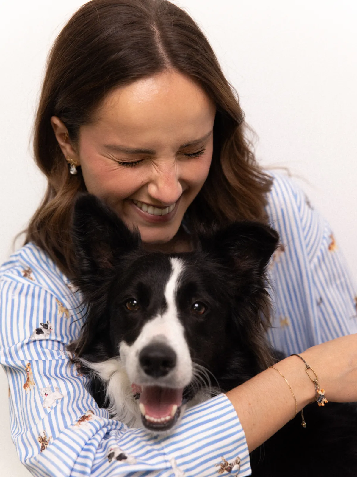 Charm's Chien Yorkshire – Image 3