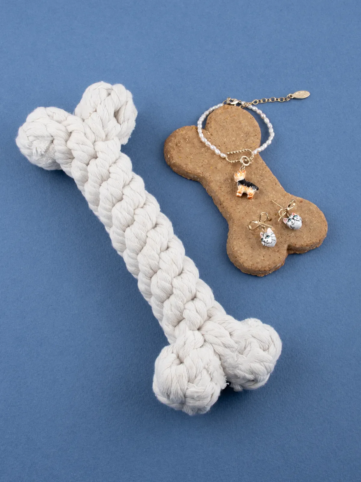 Charm's Chien Yorkshire – Image 6