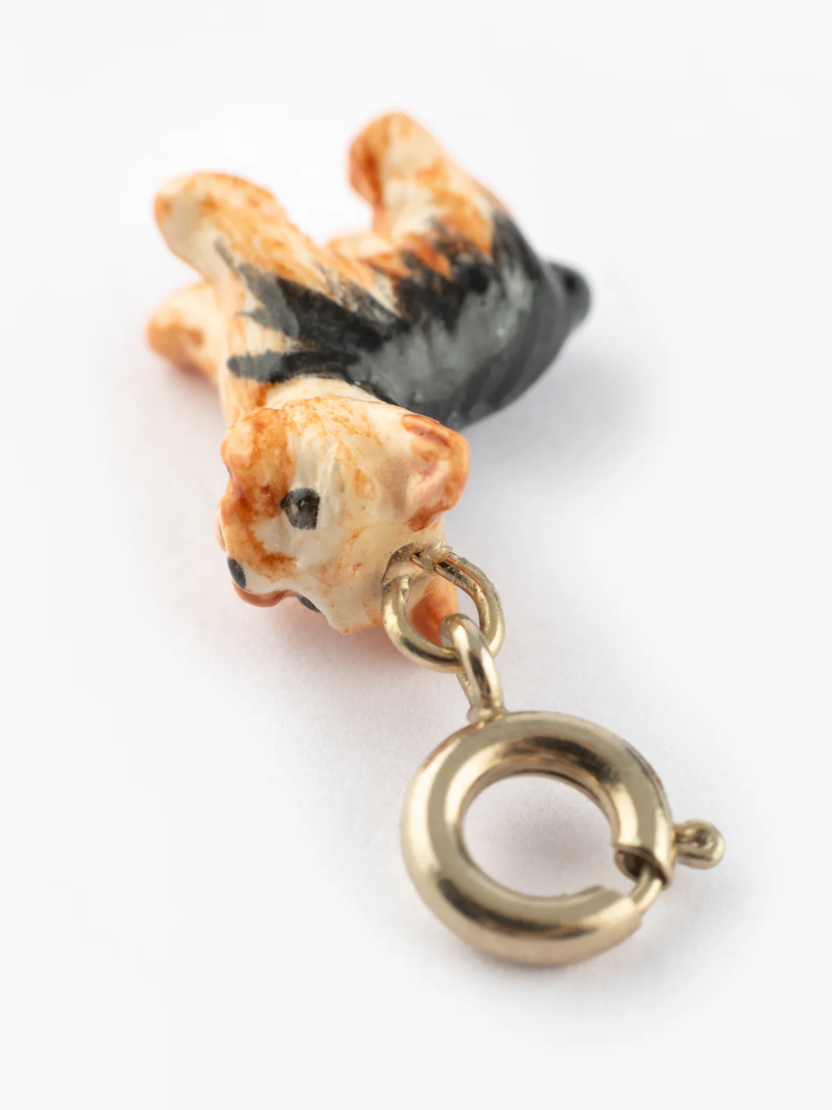 Charm's Chien Yorkshire – Image 8