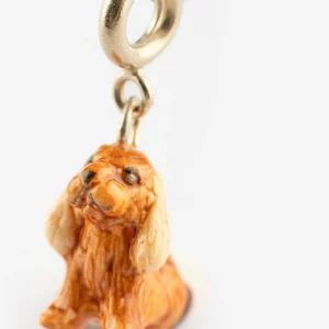 Charm's Chien Cocker