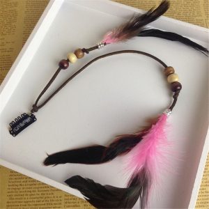 Plume pour cheveux