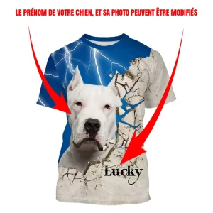 Dogue Argentin Chien, Dogo Argentino, T-shirt, Sweat à Capuche Pour Homme, Femme, Cadeau Personnalisé - CTS13042209