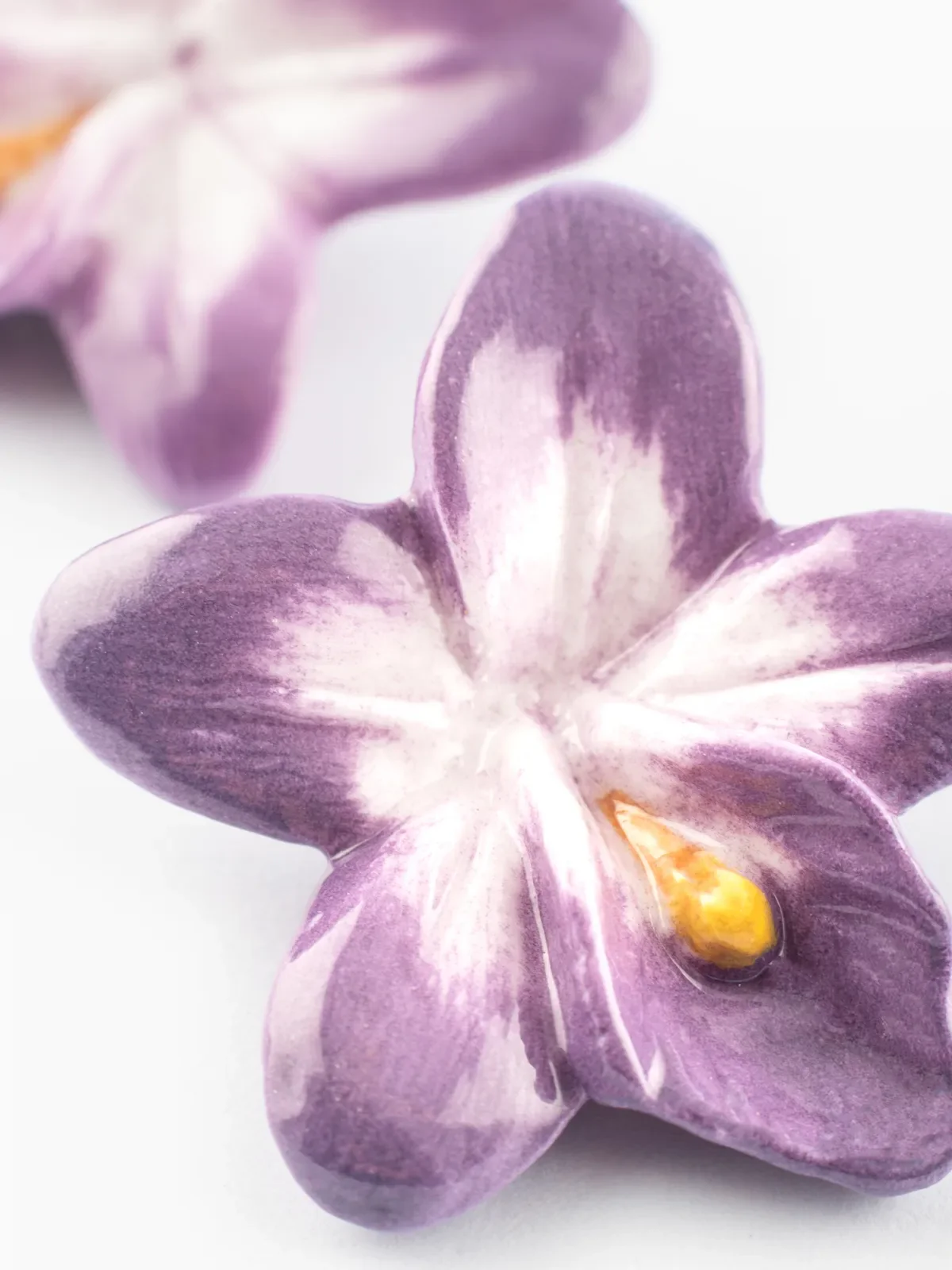 Puces d'oreilles violette – Image 5