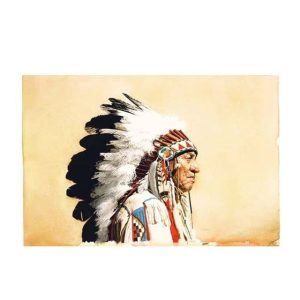 Tableau Indien Chef Indien Nuage Blanc