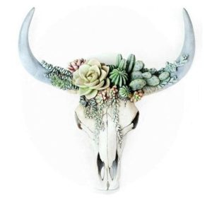 Crâne de Vache Fleur de Cactus