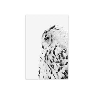 Tableau Indien  Hibou